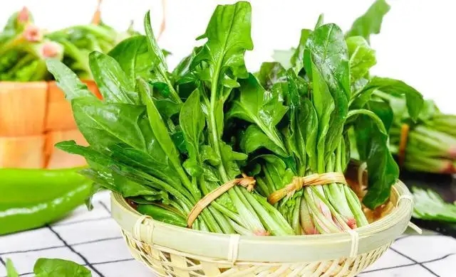 安宫牛黄丸的功效与作用 安宫牛黄丸的服用方法